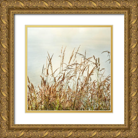 Bluff Grass 2 Gold Ornate Wood Framed Art Print with Double Matting by Poinski, Dianne