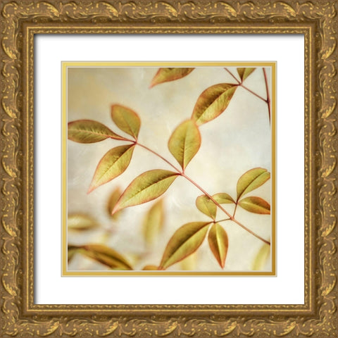 Golden Leaves 2 Gold Ornate Wood Framed Art Print with Double Matting by Poinski, Dianne