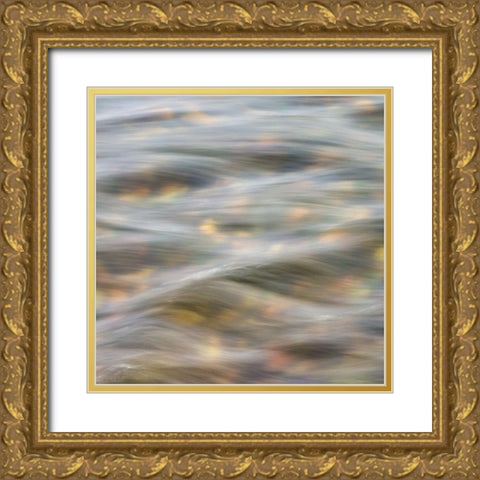 Flow 2 Gold Ornate Wood Framed Art Print with Double Matting by Poinski, Dianne
