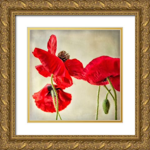 Red Poppies 1 Gold Ornate Wood Framed Art Print with Double Matting by Poinski, Dianne