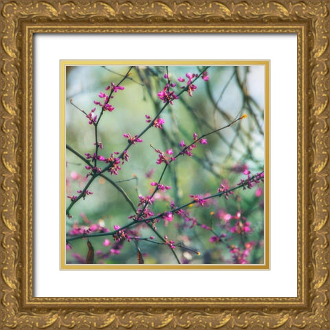 Spring Branches Gold Ornate Wood Framed Art Print with Double Matting by Poinski, Dianne