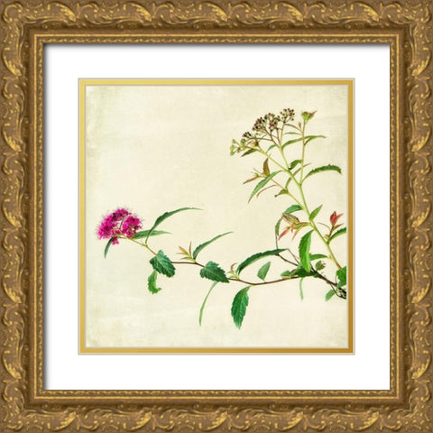 Vntage Pink 2 Gold Ornate Wood Framed Art Print with Double Matting by Poinski, Dianne