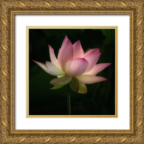 Illumination 1 Gold Ornate Wood Framed Art Print with Double Matting by Poinski, Dianne