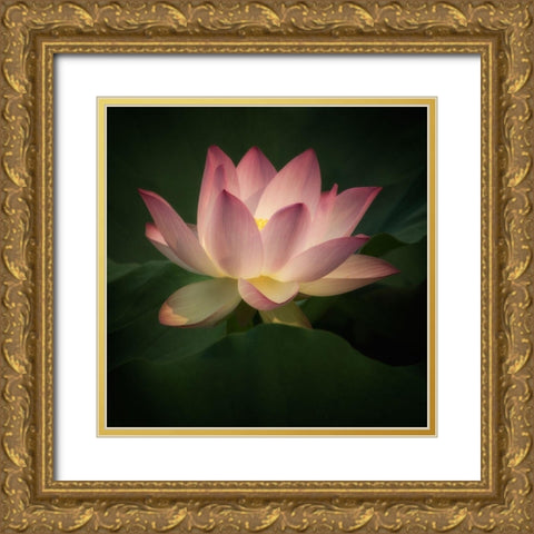 Illumination 2 Gold Ornate Wood Framed Art Print with Double Matting by Poinski, Dianne