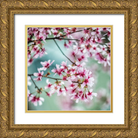 Spring Is In The Air I Gold Ornate Wood Framed Art Print with Double Matting by Poinski, Dianne