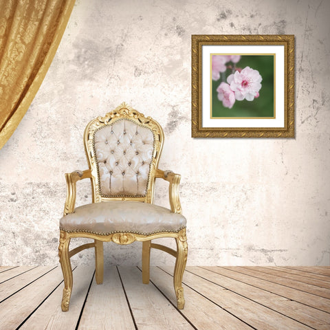 Spring Is In The Air II Gold Ornate Wood Framed Art Print with Double Matting by Poinski, Dianne