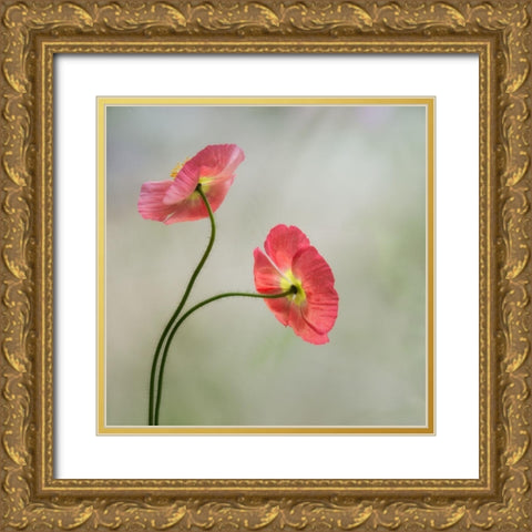 Two Poppies Gold Ornate Wood Framed Art Print with Double Matting by Poinski, Dianne