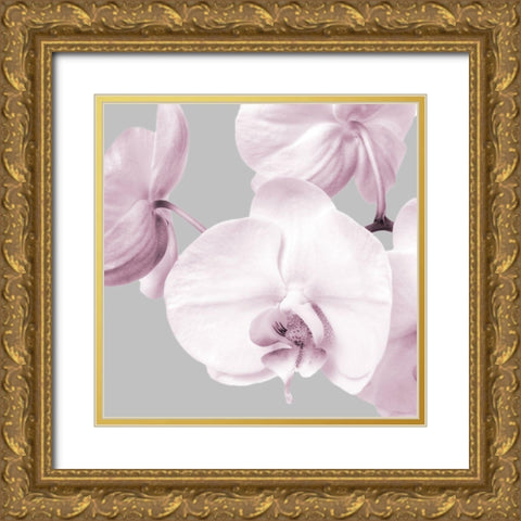 Pink Orchids 2 Gold Ornate Wood Framed Art Print with Double Matting by Poinski, Dianne