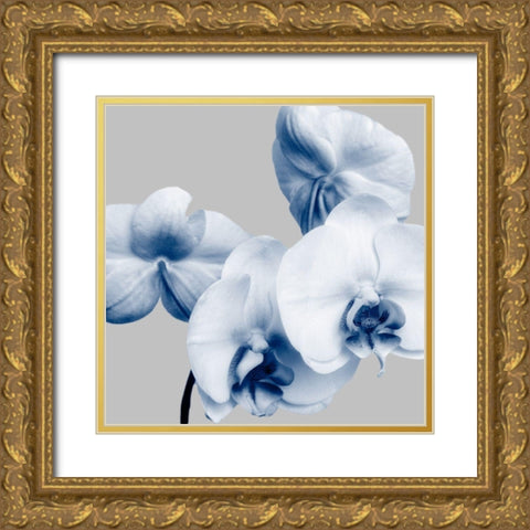Indigo Orchids 1 Gold Ornate Wood Framed Art Print with Double Matting by Poinski, Dianne