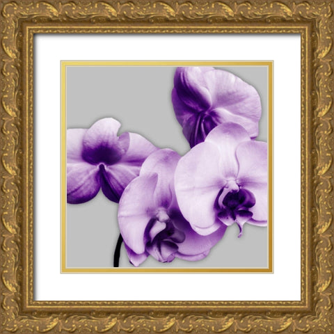 Vibrant Orchids 1 Gold Ornate Wood Framed Art Print with Double Matting by Poinski, Dianne