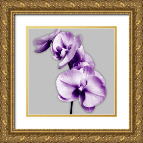 Vibrant Orchids 3 Gold Ornate Wood Framed Art Print with Double Matting by Poinski, Dianne