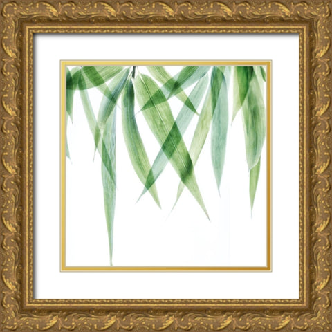 Swaying Bamboo 2 Gold Ornate Wood Framed Art Print with Double Matting by Poinski, Dianne