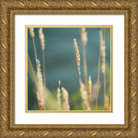 Bountiful Beauty 1 Gold Ornate Wood Framed Art Print with Double Matting by Poinski, Dianne