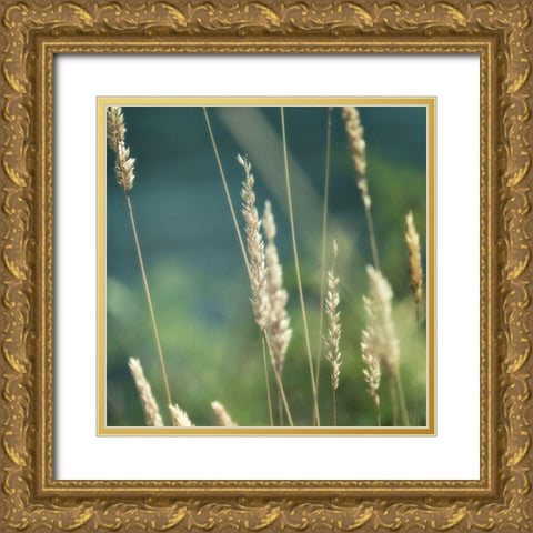 Bountiful Beauty 2 Gold Ornate Wood Framed Art Print with Double Matting by Poinski, Dianne