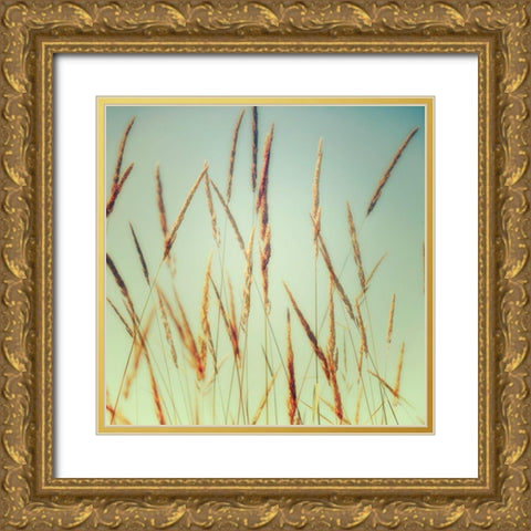 Steppe Carpet 1 Gold Ornate Wood Framed Art Print with Double Matting by Poinski, Dianne