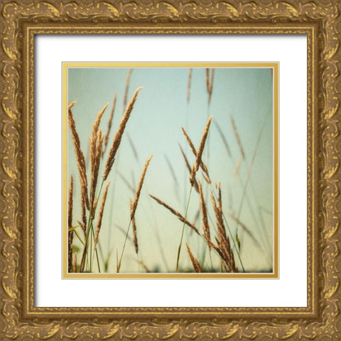 Steppe Carpet 2 Gold Ornate Wood Framed Art Print with Double Matting by Poinski, Dianne