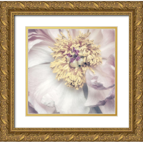 Dusty Bloom 1 Gold Ornate Wood Framed Art Print with Double Matting by Poinski, Dianne