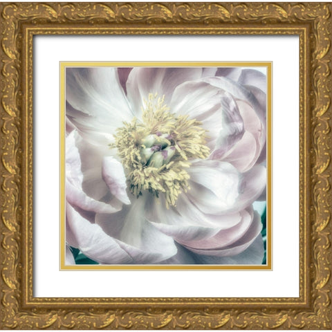 Dusty Bloom 2 Gold Ornate Wood Framed Art Print with Double Matting by Poinski, Dianne