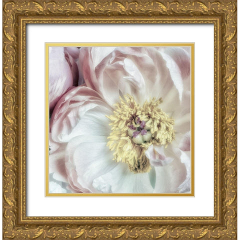 Dusty Bloom 3 Gold Ornate Wood Framed Art Print with Double Matting by Poinski, Dianne