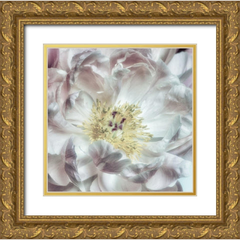 Dusty Bloom 4 Gold Ornate Wood Framed Art Print with Double Matting by Poinski, Dianne