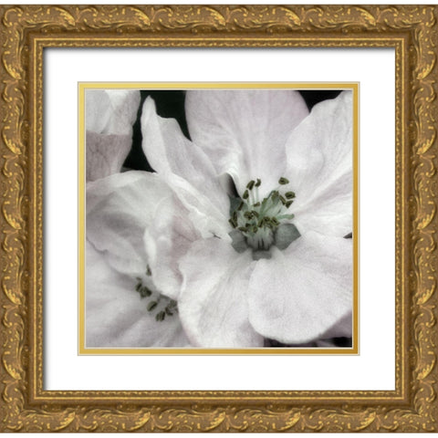 Soft Blossoms II Gold Ornate Wood Framed Art Print with Double Matting by Poinski, Dianne