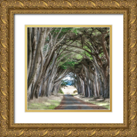 Cypress View II Gold Ornate Wood Framed Art Print with Double Matting by Poinski, Dianne