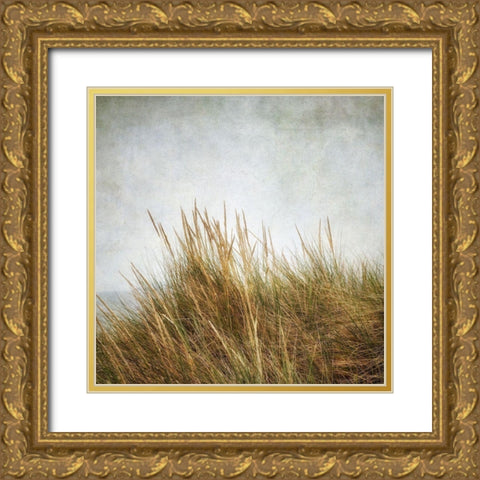 Beach Grasses 3 Gold Ornate Wood Framed Art Print with Double Matting by Poinski, Dianne