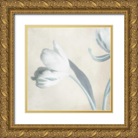 Whispering Sky 2 Gold Ornate Wood Framed Art Print with Double Matting by Poinski, Dianne