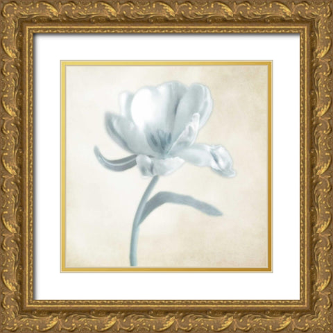 Blue Ivory Blossom 1 Gold Ornate Wood Framed Art Print with Double Matting by Poinski, Dianne