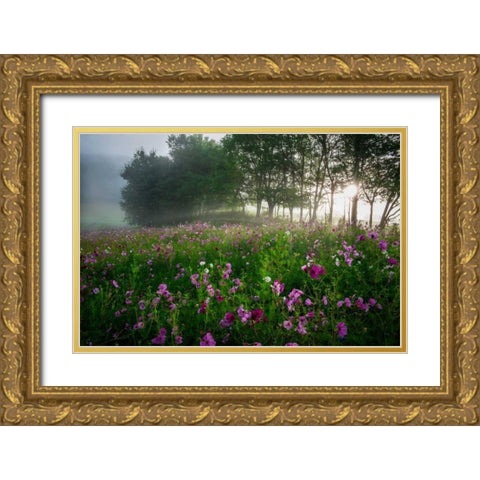 Flower Field Gold Ornate Wood Framed Art Print with Double Matting by Rowland, Joseph