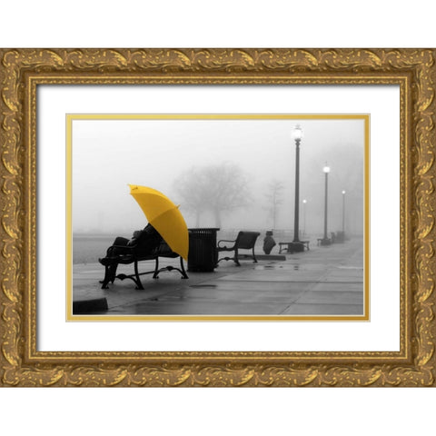 Sitting In The Rain Gold Ornate Wood Framed Art Print with Double Matting by De Carvalho, Sandro