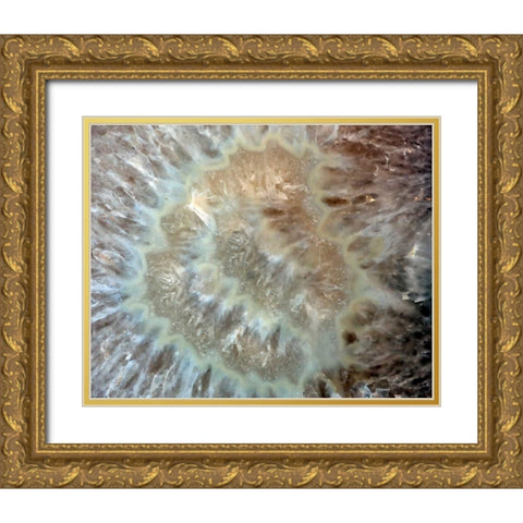 Chewy Minerals Gold Ornate Wood Framed Art Print with Double Matting by De Carvalho, Sandro