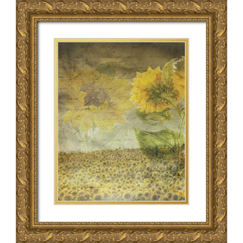 Dear Sunflower Field Gold Ornate Wood Framed Art Print with Double Matting by Haynes, Smith
