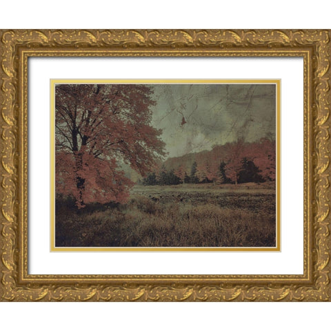 Fall In The Mist Gold Ornate Wood Framed Art Print with Double Matting by Haynes, Smith