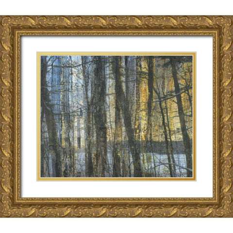Sunshine Through The Limbs 1 Gold Ornate Wood Framed Art Print with Double Matting by Haynes, Smith