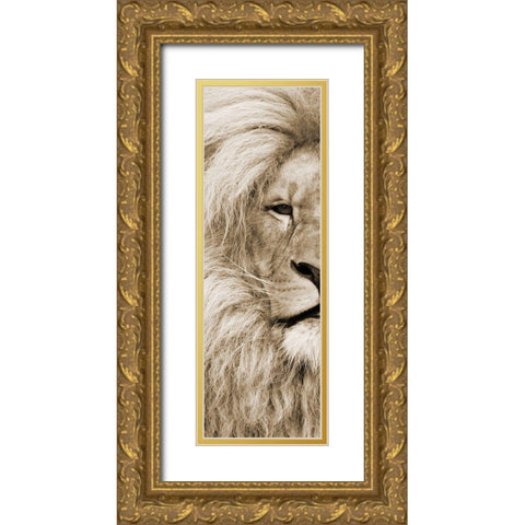 Left Eyed Gold Ornate Wood Framed Art Print with Double Matting by Lewis, Sheldon