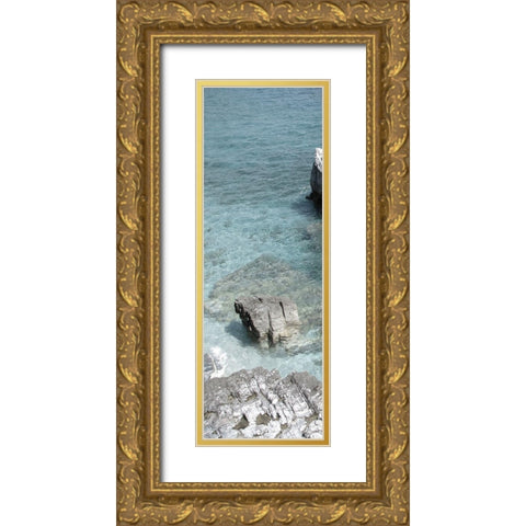 Hidden Paradise Gold Ornate Wood Framed Art Print with Double Matting by Lewis, Sheldon