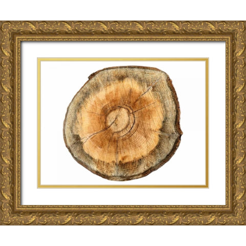 Earthy Rings Of Ages 2 Gold Ornate Wood Framed Art Print with Double Matting by Lewis, Sheldon