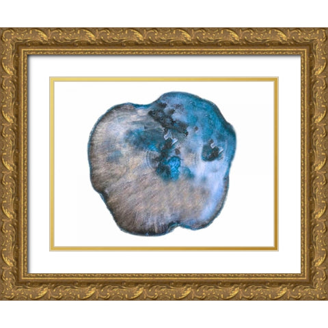 Saturn Rings Of Blue Gold Ornate Wood Framed Art Print with Double Matting by Lewis, Sheldon