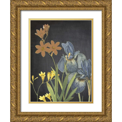 Meadow Bloom Gold Ornate Wood Framed Art Print with Double Matting by Lewis, Sheldon