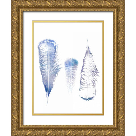 Multi Feather 1 Gold Ornate Wood Framed Art Print with Double Matting by Lewis, Sheldon