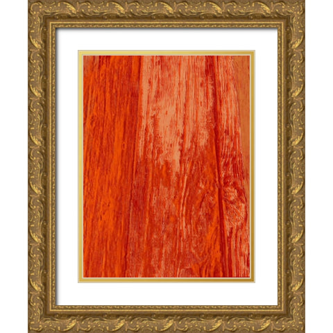 New Age Look Gold Ornate Wood Framed Art Print with Double Matting by Lewis, Sheldon