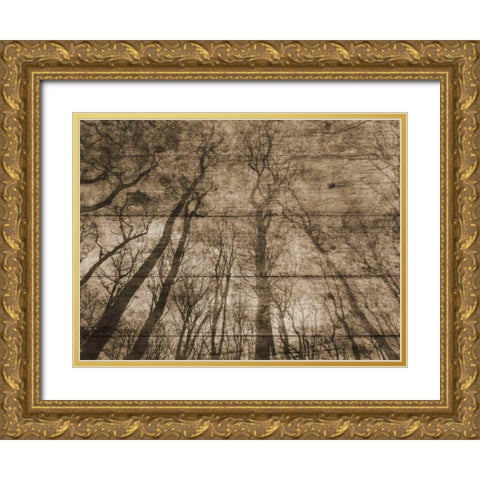Up Into The Woods Gold Ornate Wood Framed Art Print with Double Matting by Lewis, Sheldon