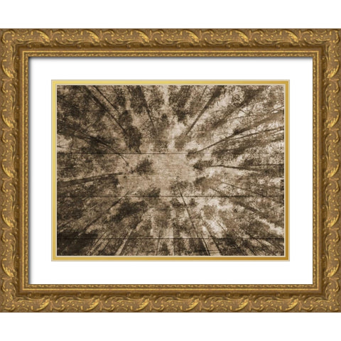 Up Into The Woods 2 Gold Ornate Wood Framed Art Print with Double Matting by Lewis, Sheldon