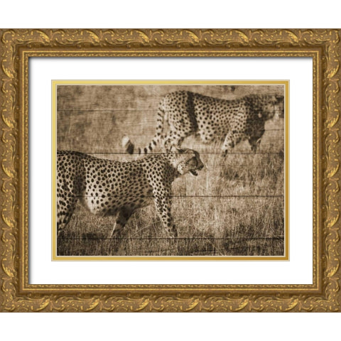 Safari Team Gold Ornate Wood Framed Art Print with Double Matting by Lewis, Sheldon