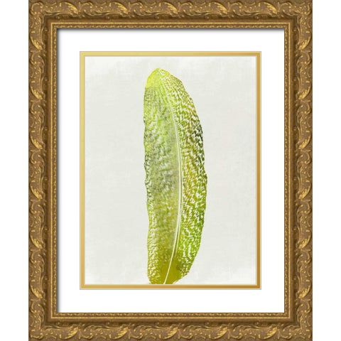 Single Bird Gold Ornate Wood Framed Art Print with Double Matting by Lewis, Sheldon