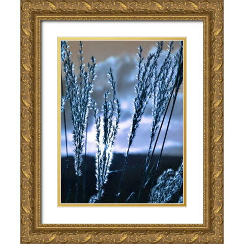 Blue Sunset 3 Gold Ornate Wood Framed Art Print with Double Matting by Lewis, Sheldon
