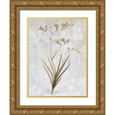 Earth Balance 4 Gold Ornate Wood Framed Art Print with Double Matting by Lewis, Sheldon