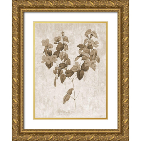 Earth Balance 6 Gold Ornate Wood Framed Art Print with Double Matting by Lewis, Sheldon