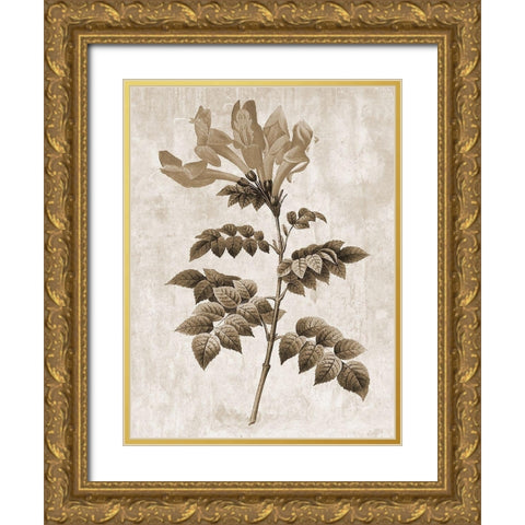 Earth Balance 9 Gold Ornate Wood Framed Art Print with Double Matting by Lewis, Sheldon